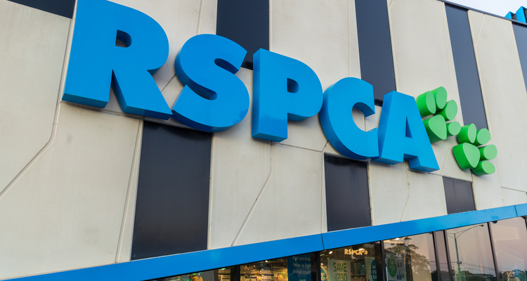 RSPCA staff contracts